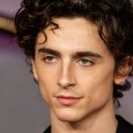 Timothée Chalamet: il cinema, la grazia e un David speciale